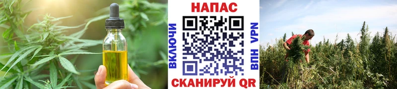 Canna-Cookies конопля  OMG зеркало  Белореченск  сколько стоит 