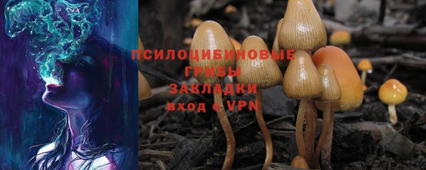 прущие грибы Алзамай