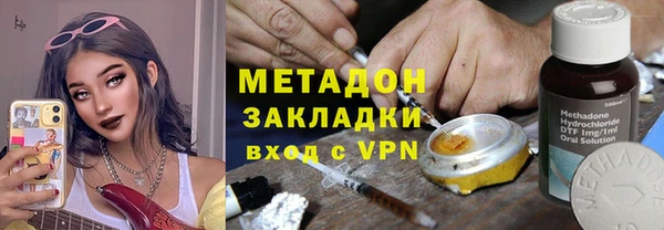 прущие грибы Алзамай