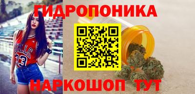 гидропоника Янаул