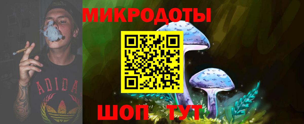 Галлюциногенные грибы Cubensis Белореченск